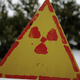 Illustration for article titled The Woods Around Chernobyl Arent Decaying